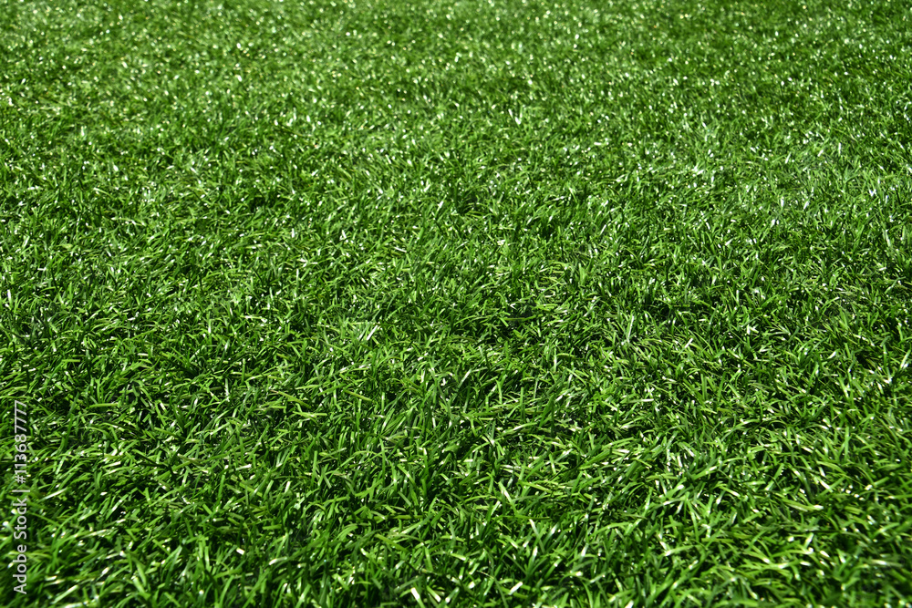 Green Grass Background
