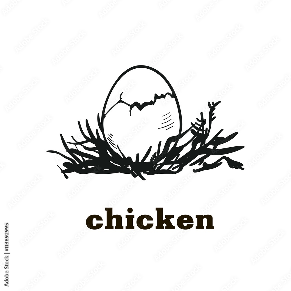 chicken egg sketch chicken egg sketch