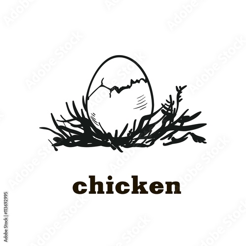 chicken egg sketch