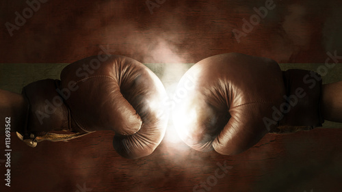 Boxing Gloves with the Flag of Austria © Ezio Gutzemberg