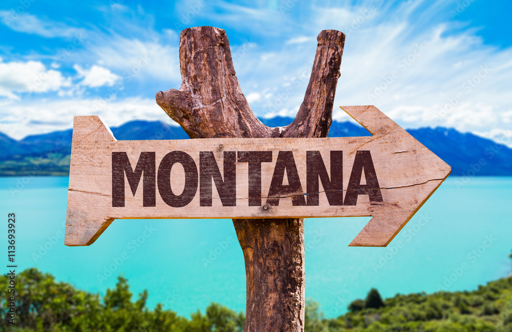 Montana wooden sign with landscape background