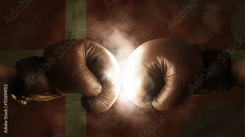Boxing Gloves with the Flag of Denmark