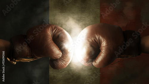 Boxing Gloves with the Flag of France © Ezio Gutzemberg