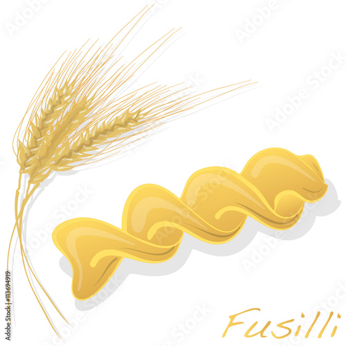 fusilli pasta vector illustration