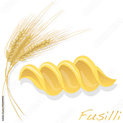 fusilli pasta vector illustration