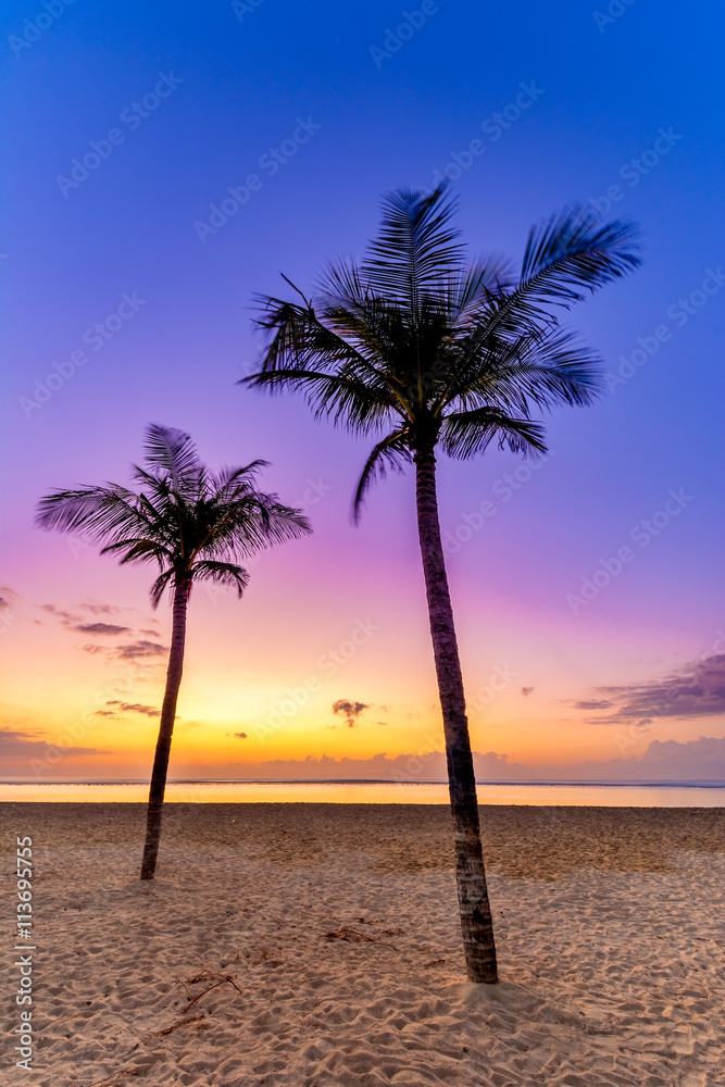 Palm trees at sunrise on an exotic sandy beach with vividly colored sky