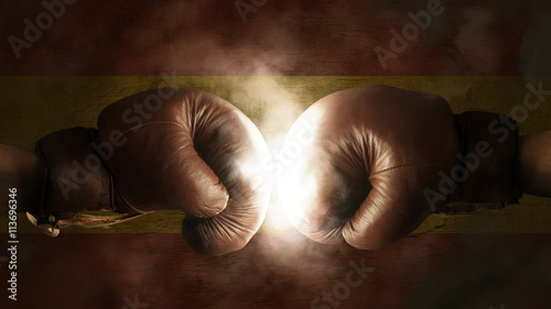 Boxing Gloves with the Flag of Spain