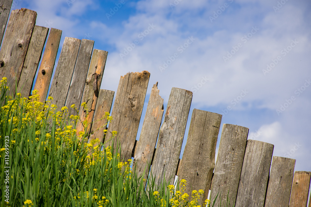 Fototapeta premium Views on palisade from wooden boards. Fence is a village full of flowers. Rural life outside the city. Landscape on bright flowers and a wooden fence on a ranch. Pasture for livestock.