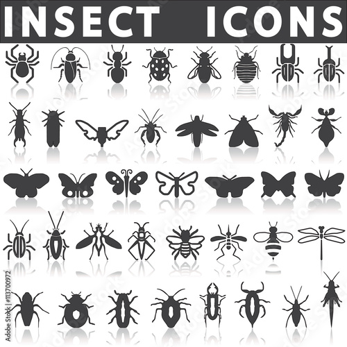 Insect icons © chege