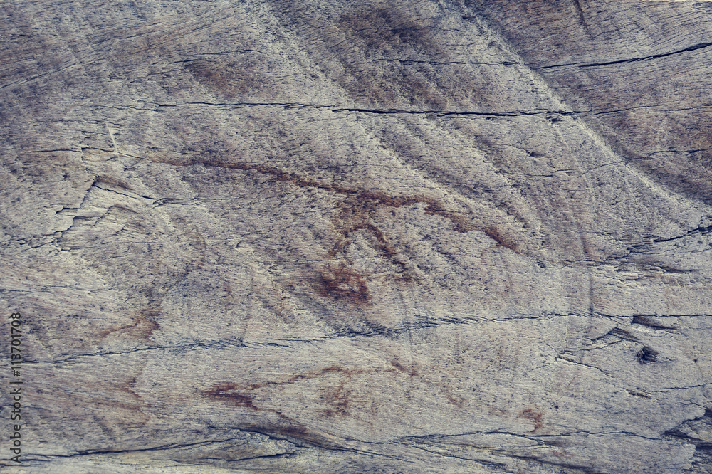 Fototapeta premium wood texture background