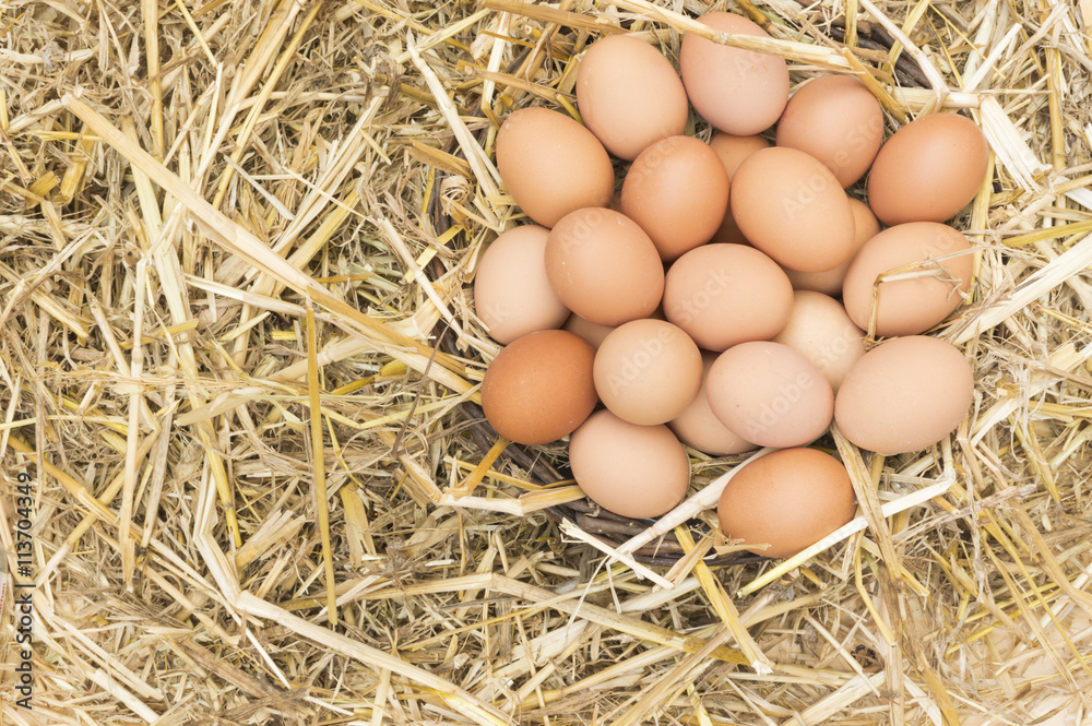 Huevos de gallina , cesta con huevos sobre la paja