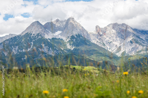 Berge und Sommerwiese in den Alpen