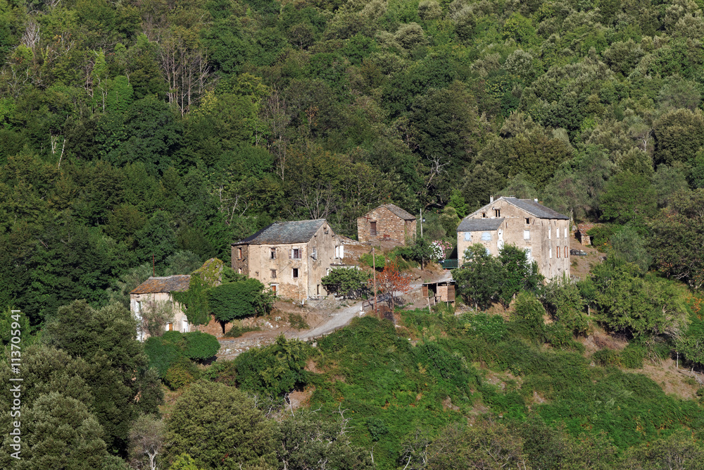  Village de Corse en Castagniccia