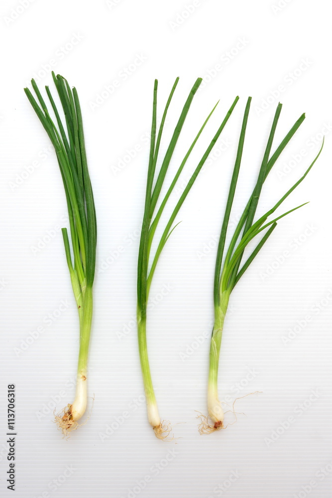 green onion green onion
