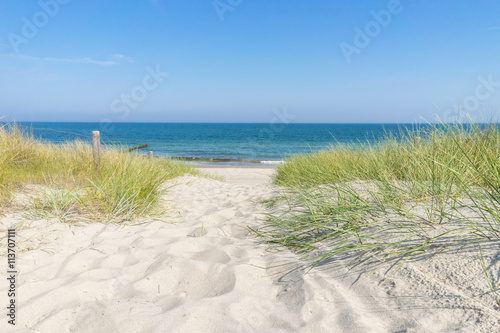 Fototapeta Naklejka Na Ścianę i Meble -  Zugang zur Ostsee