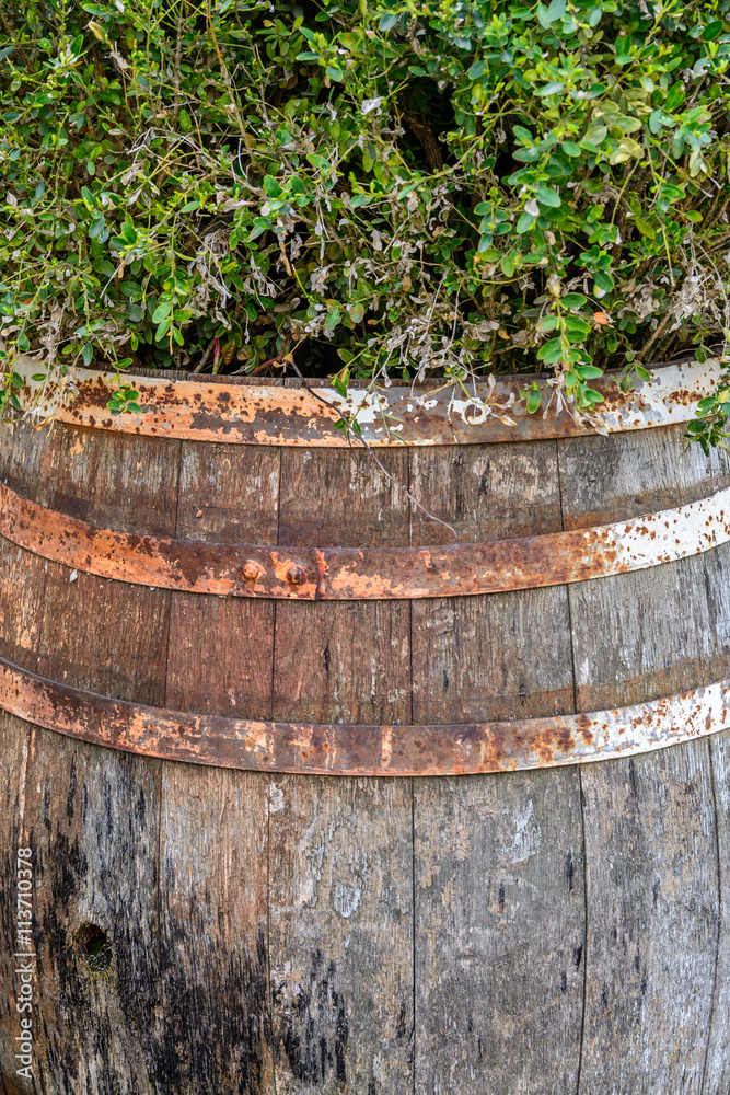 Illustration of wooden barrel. Old wooden barrel with rusted lag