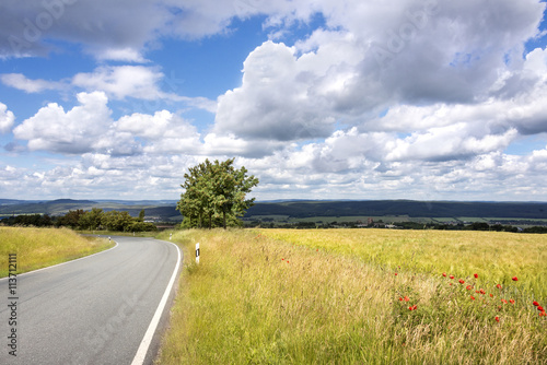 Thuringia  Germany  Scenery with yellow cornfield  green tree  blue cloudy sky and lonely tarred road
