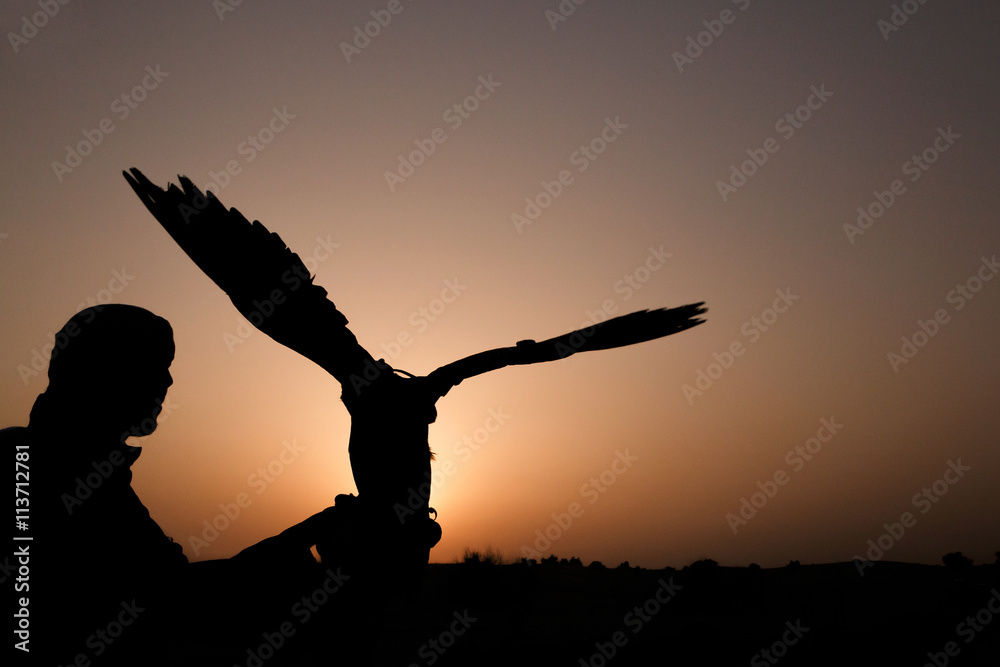 Fototapeta premium silhouette of Arabic man with hunting falcon at sunset