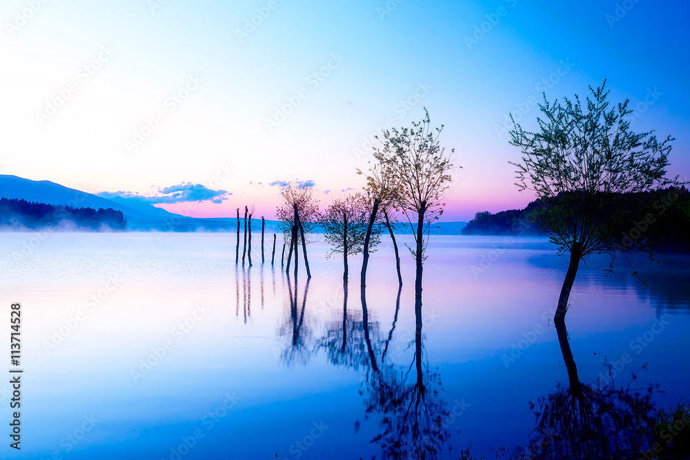 Fototapeta premium Beautiful landscape with a lake and mountains in the background and trees in the water. Blue and purple color tone. Slovakia Liptovska Mara, in region Liptov.