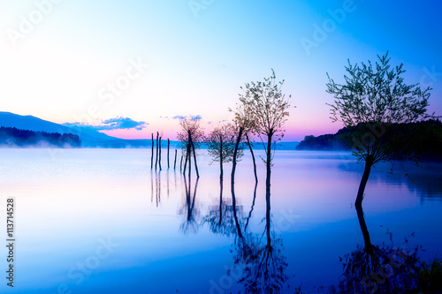 Fototapeta Naklejka Na Ścianę i Meble -  Beautiful landscape with a lake and mountains in the background and trees in the water. Blue and purple color tone. Slovakia Liptovska Mara, in region Liptov.
