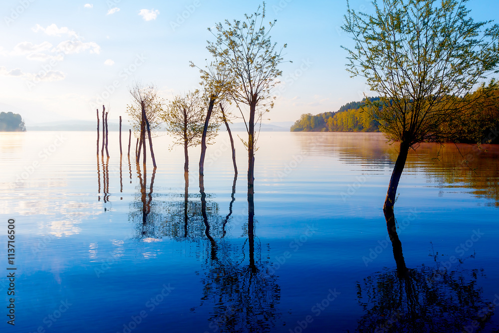 beautiful lake view in morning fog with mystic mountains and trees as leftovers of a mole in purple - blue tones. beautiful lake view in morning fog with mystic mountains and trees as leftovers of a mole in purple - blue tones.