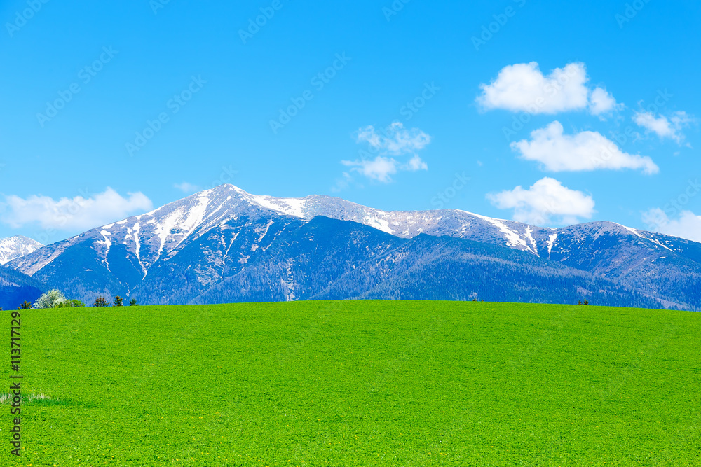 Beautiful landscape, green meadow and snow mountain. Slovakia, Central Europe, region Liptov.