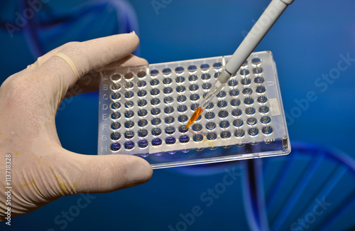 Well plate in the lab.