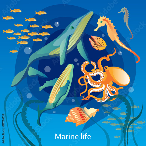 Ocean Underwater Life Illustration 