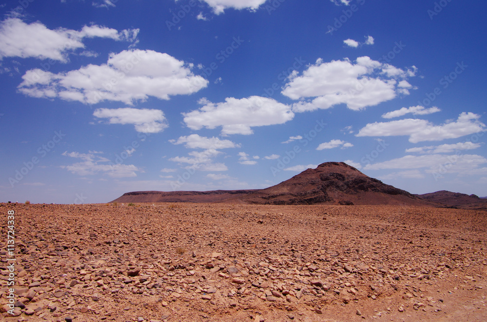 Rocky desert