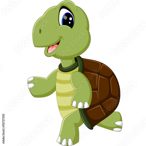 cute turtle cartoon