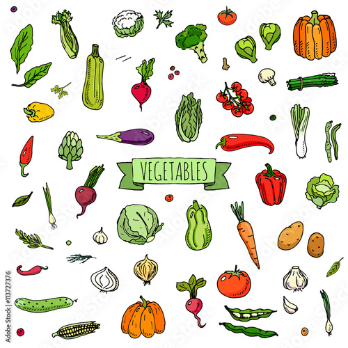Hand drawn doodle vegetables icons set Vector illustration seasonal vegetable symbols collection Cartoon different kinds of vegetables Various types of vegetables on white background Sketchy style