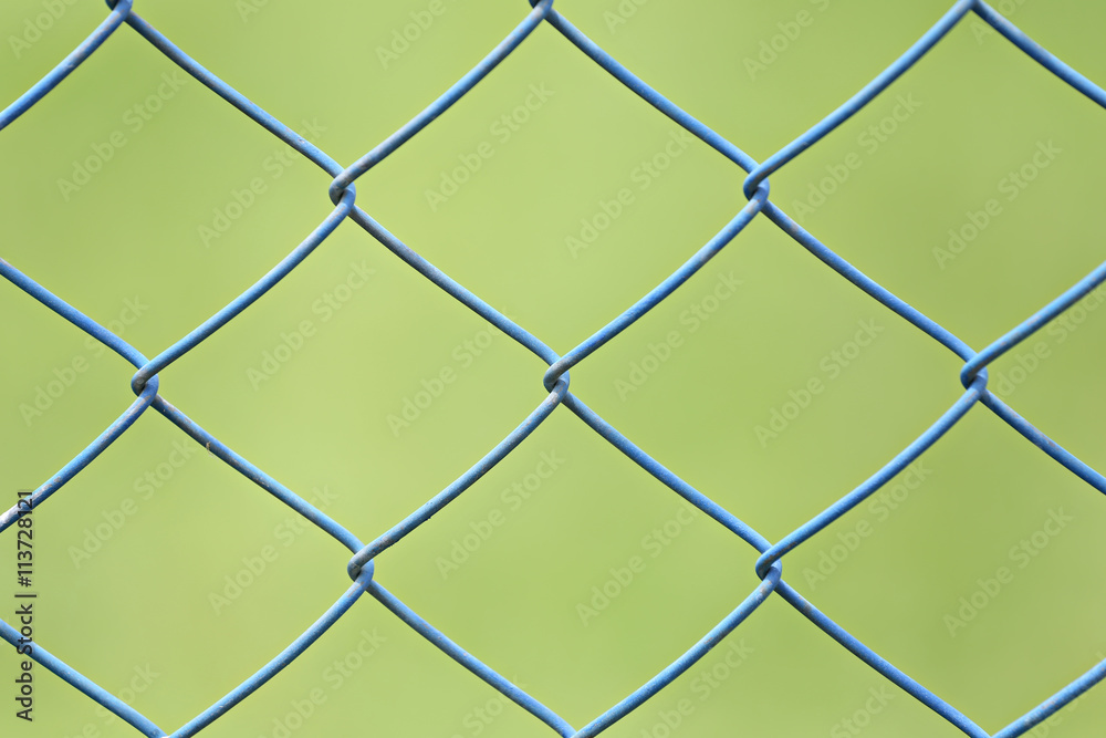 Fototapeta premium wire mesh or steel cage of green lawn in the garden.