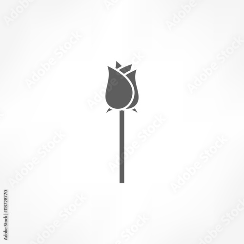 rose icon