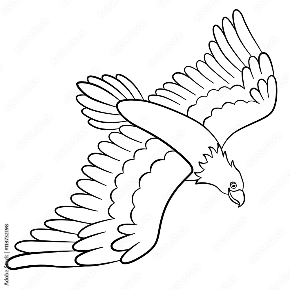 eagle coloring page