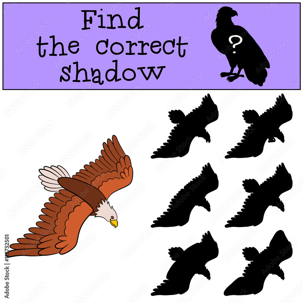 Obraz premium Children games: Find the correct shadow. Cute bald flying eagle.