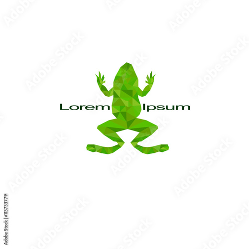 Abstract polygonal frog. low poly illustration. Creative poster