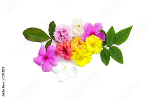 mix of beautiful flower and leaf isolated on a white background with copy space