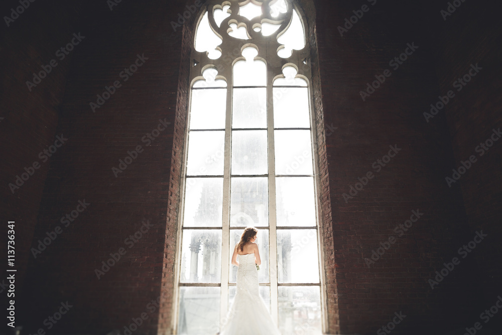 Elegant beautiful wedding bride posing near great window arch