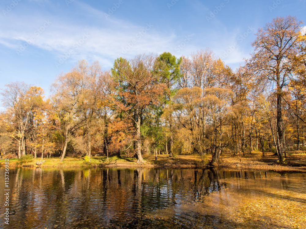 landscape in the autumn park landscape in the autumn park