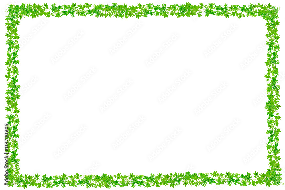 Fresh Green leaves frame isolated on white background. Fresh Green leaves frame isolated on white background.