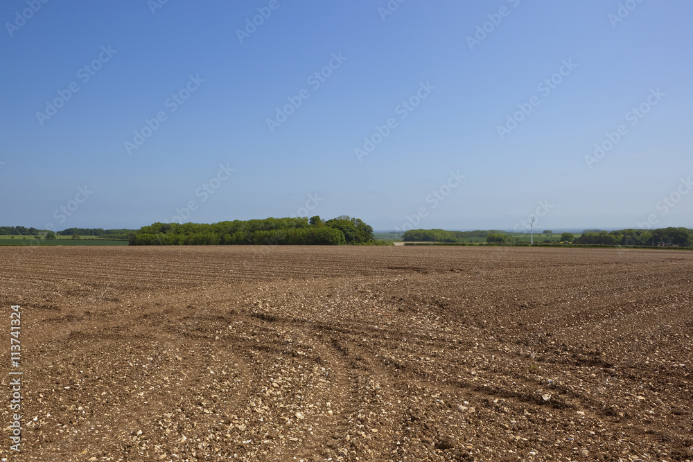 cultivated soil cultivated soil