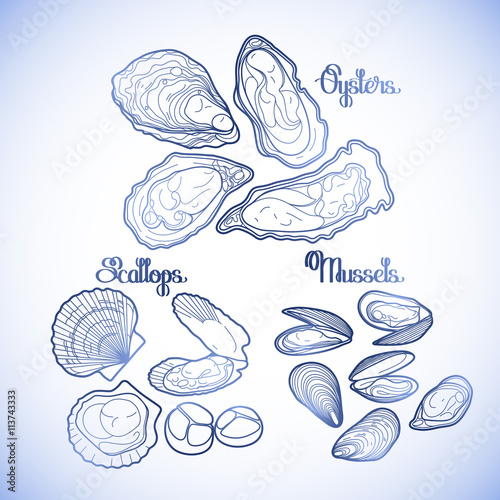 Graphic vector mussels, oysters and scallops