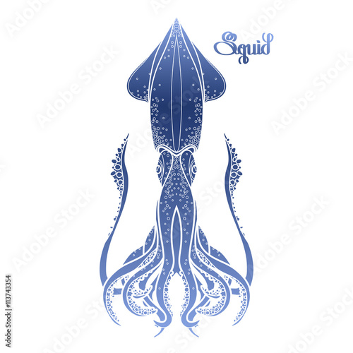 Graphic vector squid