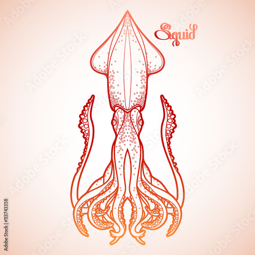 Graphic vector squid
