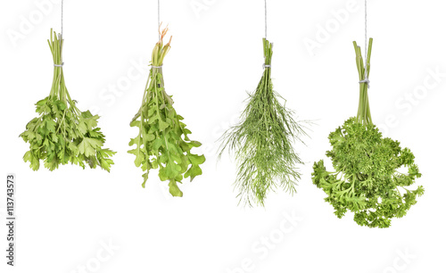 kitchen herbs isolated on white