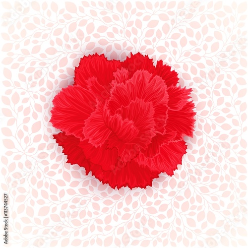 Vector flower of Carnation