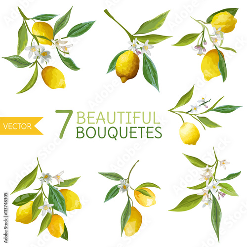 Vintage Lemons, Flowers and Leaves. Lemon Bouquetes. Watercolor
