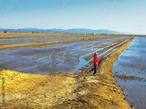 Rice fields in the Ebro Delta, Tarragona, Spain