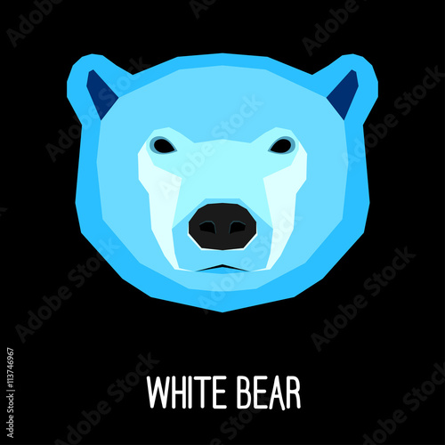 Bear cartoon portrait painted in imaginary colors