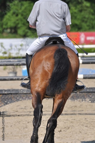 Auf dem Turnierplatz reiten zwischen den Hürden beim Sprinreitturnier, Pferd und Reiter im Detail photo